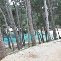 Priprave 2013 0090