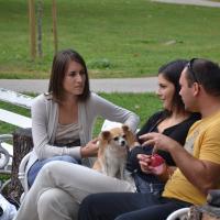 Mednarodni 2011 141