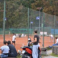 Mednarodni 2011 29