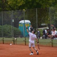 Mednarodni 2011 36