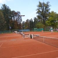 Mednarodni 2011 40