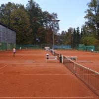 Mednarodni 2011 49