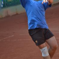 Mednarodni 2011 85