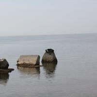 Umag 2011 199