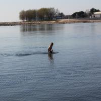 Umag 2011 261