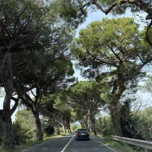 Priprave Umag 26 010