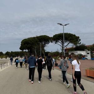 Priprave Umag 26 015